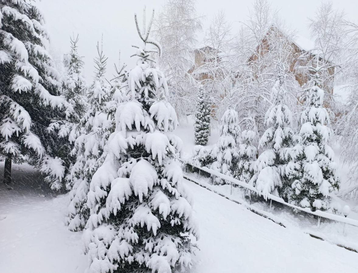 Satori Hotel Mihovo Kültér fotó